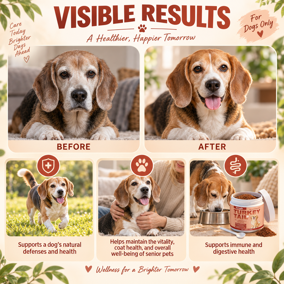 Kriath Turkey Tail Mushroom Powder for Dogs